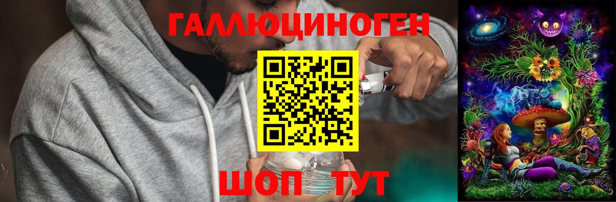 Жуковский  Псилоцибиновые грибы мухоморы  Вход с VPN 